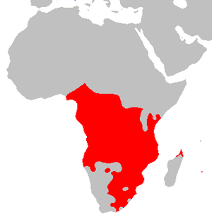 Benaderde verspreiding van Bantoetale in Afrika.